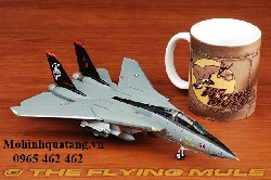 Mô hình máy bay tiêm kích F14 của Mỹ ( Mô hình tĩnh )